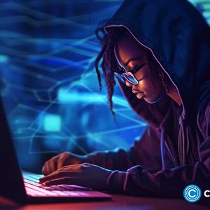 Ahead of Bitcoin halving, experts bullish on BTC, ROE, and ADA
