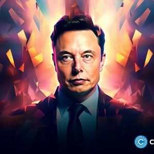 Elon Musk adds Dogecoin symbol to his bio on Twitter