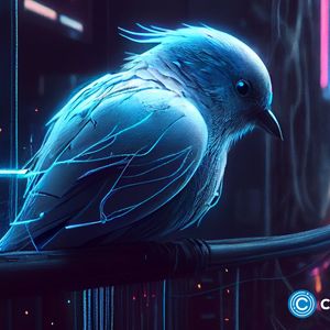 From blue bird to X: Twitter’s rebranding sparks crypto frenzy