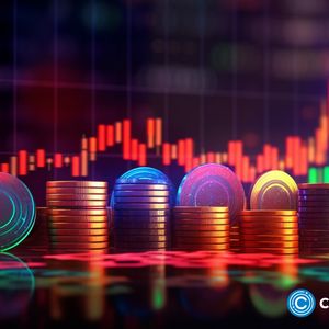 Uniswap falling, Borroe to rival Bitcoin’s growth