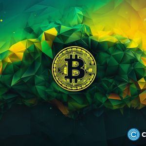 Bitcoin briefly touches $30k amid whale transactions