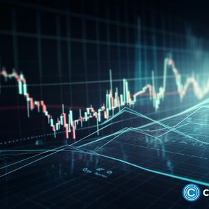 Tradecurve supported, Apecoin and Dogecoin holder count falling