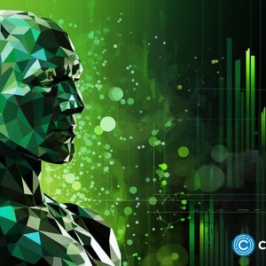 Borroe presale attracting investors, Cardano remains volatile
