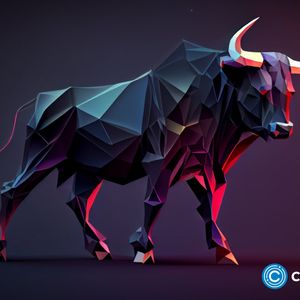 Pepe coin, Floki Inu, and Pomerdoge may rally in next bull run