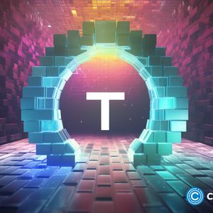 Tether dominant among stablecoins, USDT holders exploring Borroe
