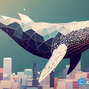 Cardano price still in red despite sharks and whales actions