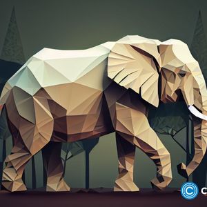 India probes betting platforms for crypto tax evasion