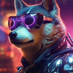 Shiba Inu burn rate soars despite Shibarium concerns