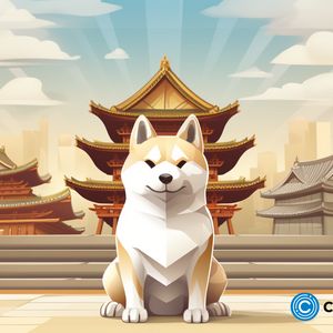 Shiba Inu’s Shibarium reemerges after initial setbacks