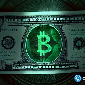Oprah Winfrey and Dwayne Johnson launch crypto fundraising for Maui