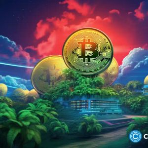 3AC co-founder Su Zhu’s Singapore villa turned into urban farm