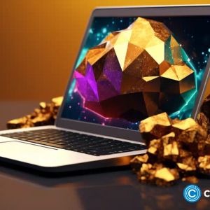 Meme coins struggling, NuggetRush drawing investor attention