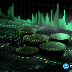 Crypto market turns green as investors expect another bull run