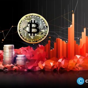Crypto-related stocks soar as Bitcoin gains 10% on the day