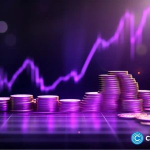 Floki up 13% as devs launch RWA platform