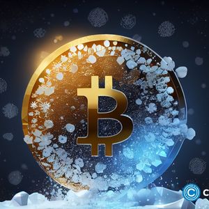 Bitcoin holds strong with higher market cap than Tesla despite bear market