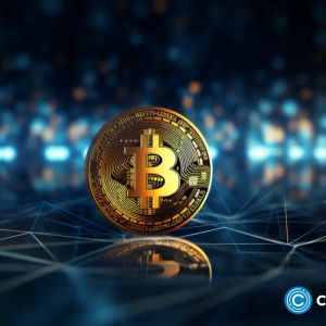 Valkyrie’s McClurg expects spot Bitcoin ETF approval in November 2023