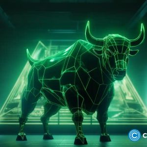 X9 Wallet by Wall Street Pepe: a gateway to crypto
