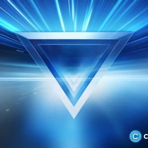 Open Network announces initiation of TON bootcamp