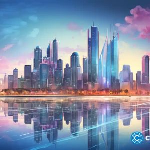 Paxos gets the greenlight to issue stablecoins in Abu Dhabi