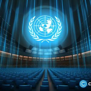 United Nations selects HBAR Foundation, Envision for blockchain-based carbon data marketplace
