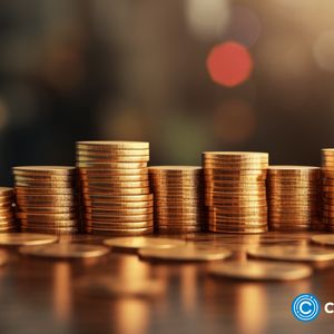Cheap cryptocurrencies that could explode: Is it worth the investment?