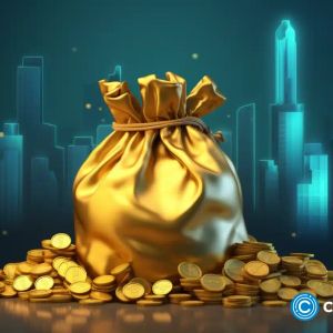 Beginners guide to staking: users can explore these crypto projects