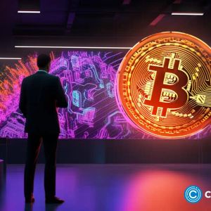 U.S. agency identified Bitcoin inscriptions as cybersecurity risk
