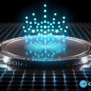 Cardano solid as Shibarium processes 82m transactions, Everlodge merging AI and real estate
