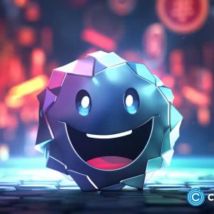 Coq Inu up 51% in 24 hours and 60,000% since launch