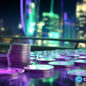 Solana rising as network activity spikes, BTCMTX presale gains momentum