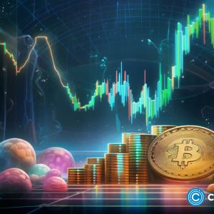 Crypto in 2024: Bitcoin to hit record highs as NFTs and fan tokens exit | Opinion