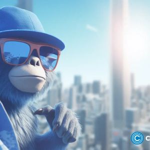 Rebase announces IRL Cup to celebrate IRL token launch