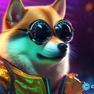 Shiba Inu burn rate spikes 4,144% as token retains $0.00001 support