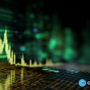 NEAR rallies as GFOX presale continues to draw investors