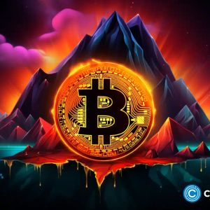 Investor pointed to favorable time to buy BTC before growth