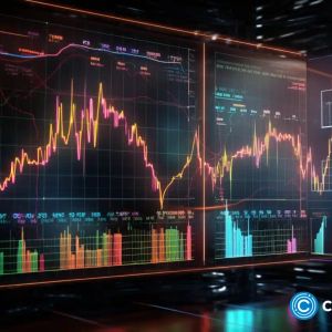 Traders pick Solana, Everlodge, and Avalanche as altcoins to consider