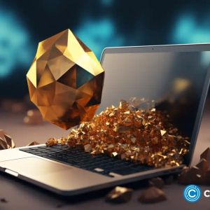 XRP supporters exploring NuggetRush: new crypto project drawing investor attention