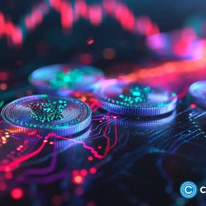 SEI leads the top crypto gainers with 23% jump