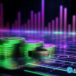 Solana and Optimism holders exploring Pushd presale