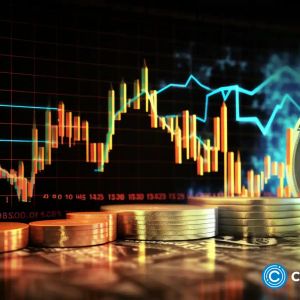 Market activity lifts Polkadot, Borroe Finance, and Solana