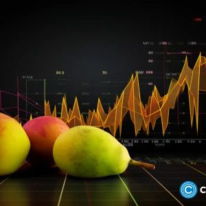 Mango Markets allocates $250k to tackle US regulatory inquiries