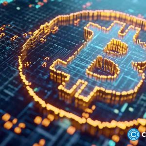 Spot Bitcoin ETF ‘mostly priced in’ as false approval got muted reaction, analysts say