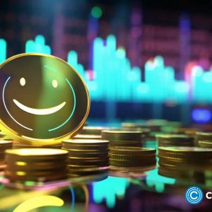 Solana meme coin Dogwifhat soars 70% amid buzz of potential Binance listing