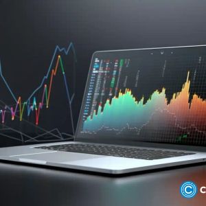 Analyst: Pushd can outperform Solana and Dogecoin