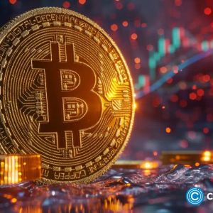 Bitcoin ETF approval: crypto volume spiked, market cap rose