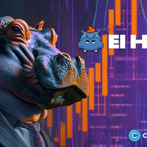 Analysts: HIPP is undervalued after El Hippo liquidity lock