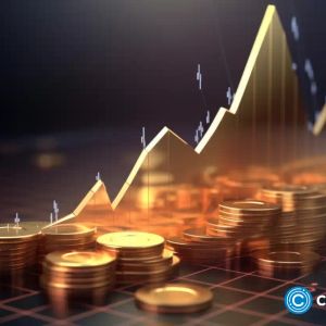 Ripple CTO stirs curiosity; new meme coin drawing investors