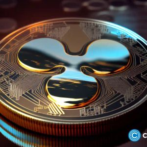 XRP price at risk as investors react to US government affiliation