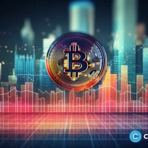 CoinGecko: Bitcoin grew by 155% in 2023 due to ETF optimism